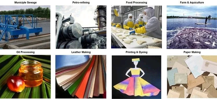 Applications of Screw Press Dewatering Machines